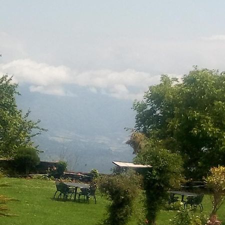 Vamoose Eco Lodge Chevron Kausani Dış mekan fotoğraf